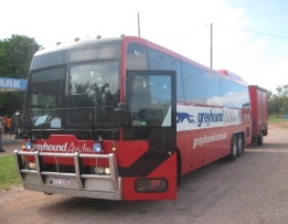 Australian Greyhound Bus